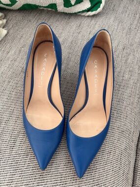 Casadei Royal Blue Pointed-Toe Leather Pumps
